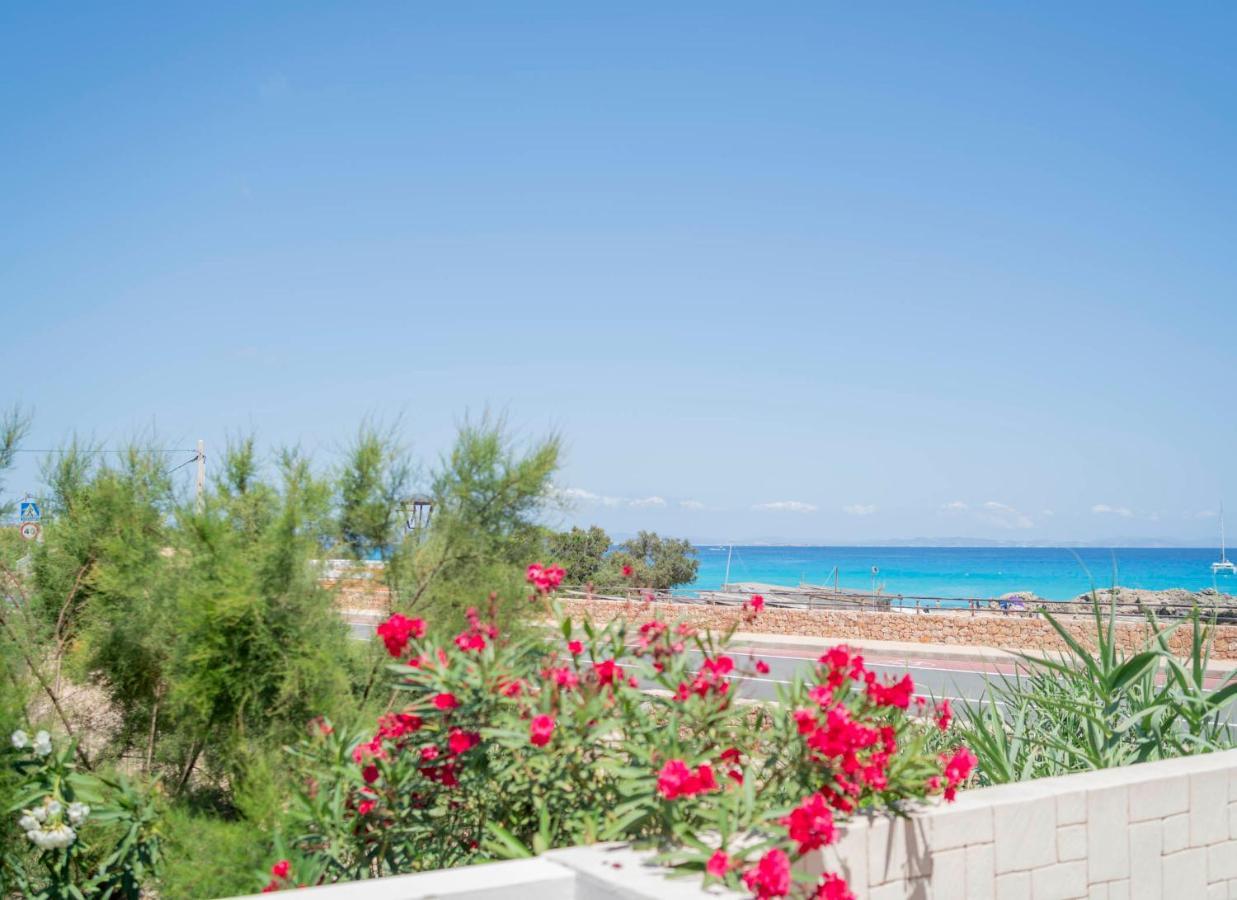 Cavall De Llevant - Formentera Break Es Calo  Eksteriør billede